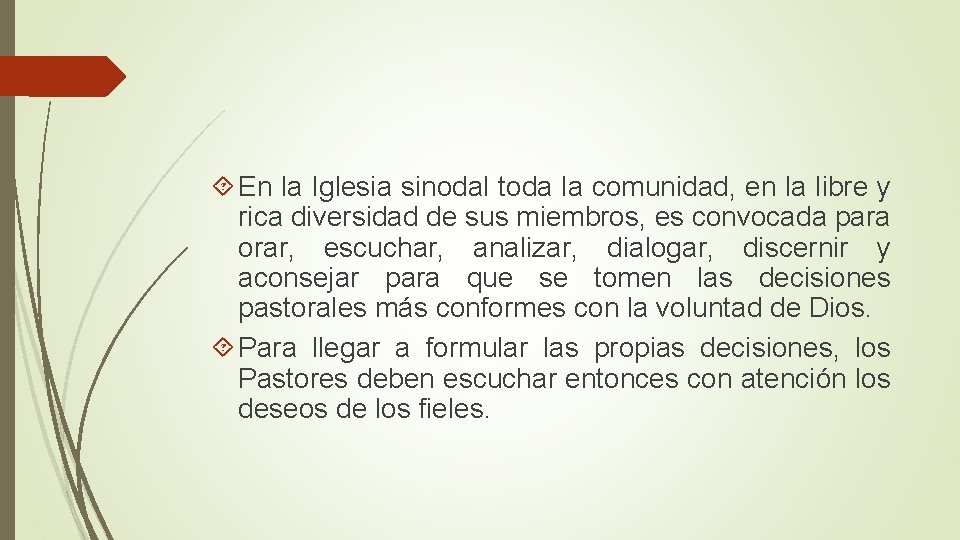  En la Iglesia sinodal toda la comunidad, en la libre y rica diversidad