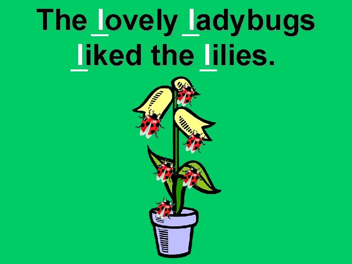 The lovely ladybugs liked the lilies. 