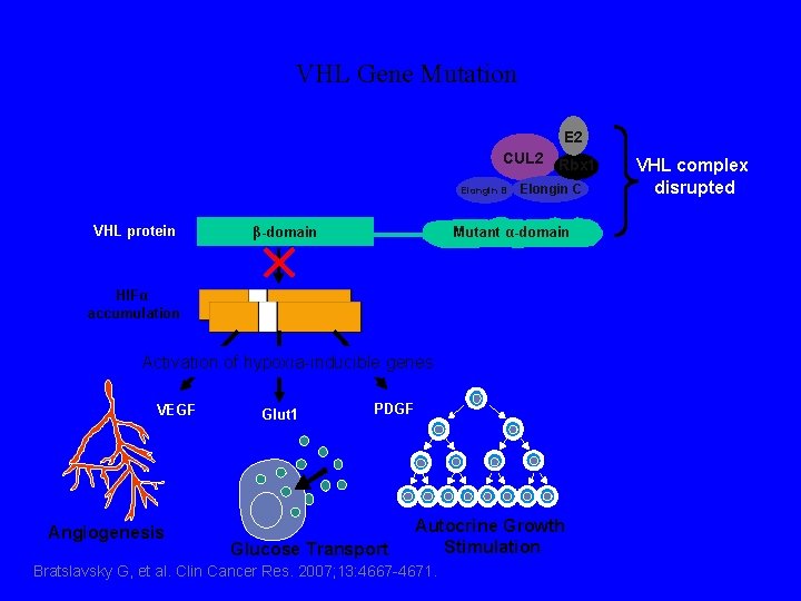 VHL Gene Mutation E 2 CUL 2 Rbx 1 Elongin B VHL protein β-domain