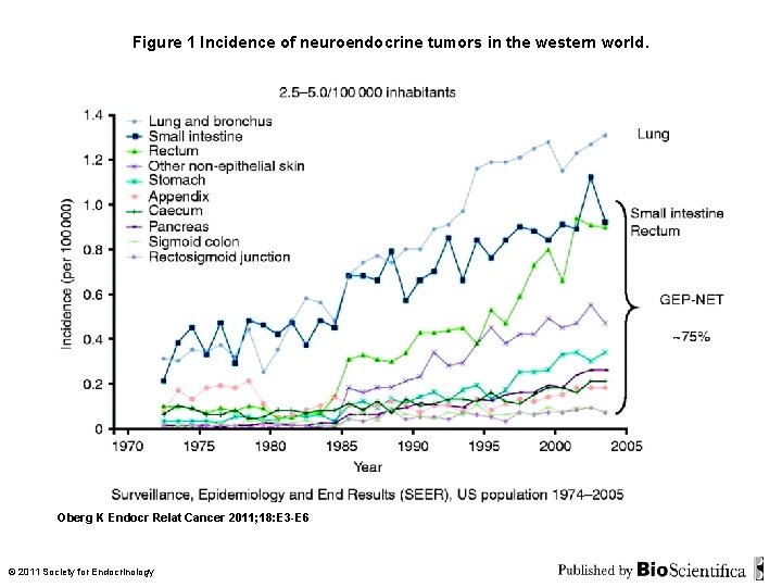 Figure 1 Incidence of neuroendocrine tumors in the western world. Oberg K Endocr Relat