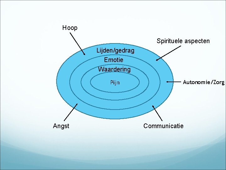 Hoop Spirituele aspecten Lijden/gedrag Emotie Waardering Pijn Angst Autonomie/Zorg Communicatie 