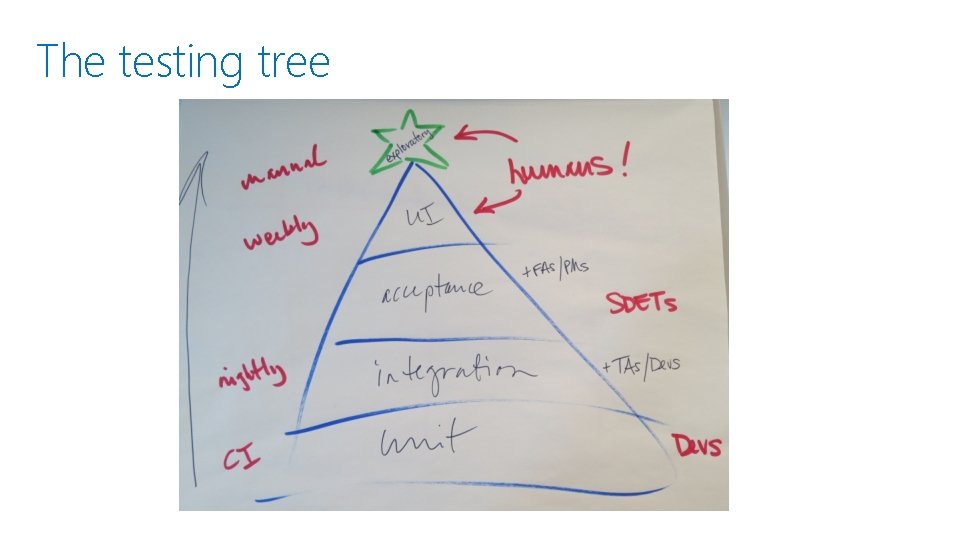 The testing tree 