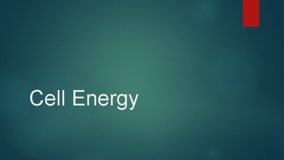 Cell Energy Cell Energy