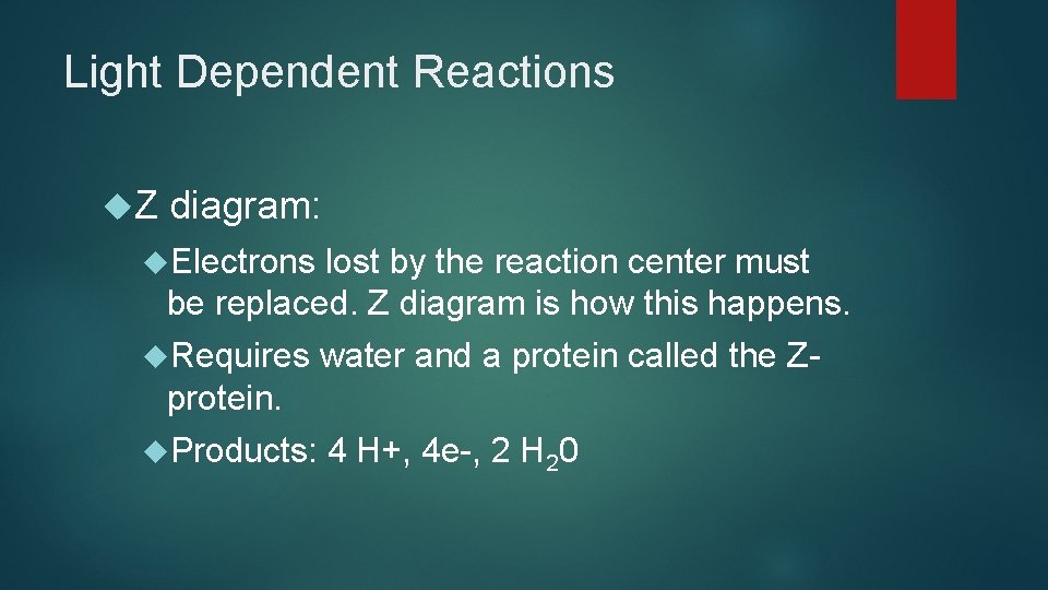 Light Dependent Reactions Z diagram: Electrons lost by the reaction center must be replaced. Light Dependent Reactions Z diagram: Electrons lost by the reaction center must be replaced.