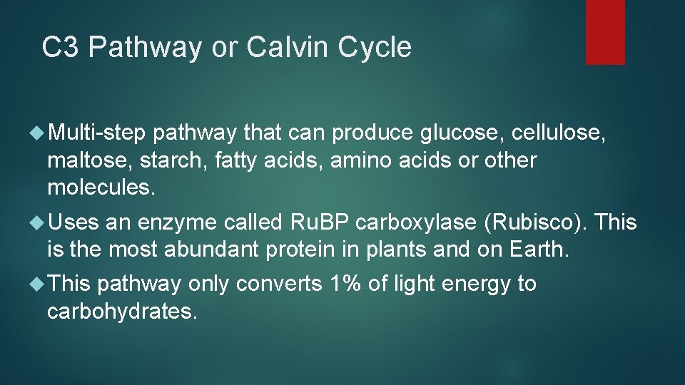 C 3 Pathway or Calvin Cycle Multi-step pathway that can produce glucose, cellulose, maltose, C 3 Pathway or Calvin Cycle Multi-step pathway that can produce glucose, cellulose, maltose,