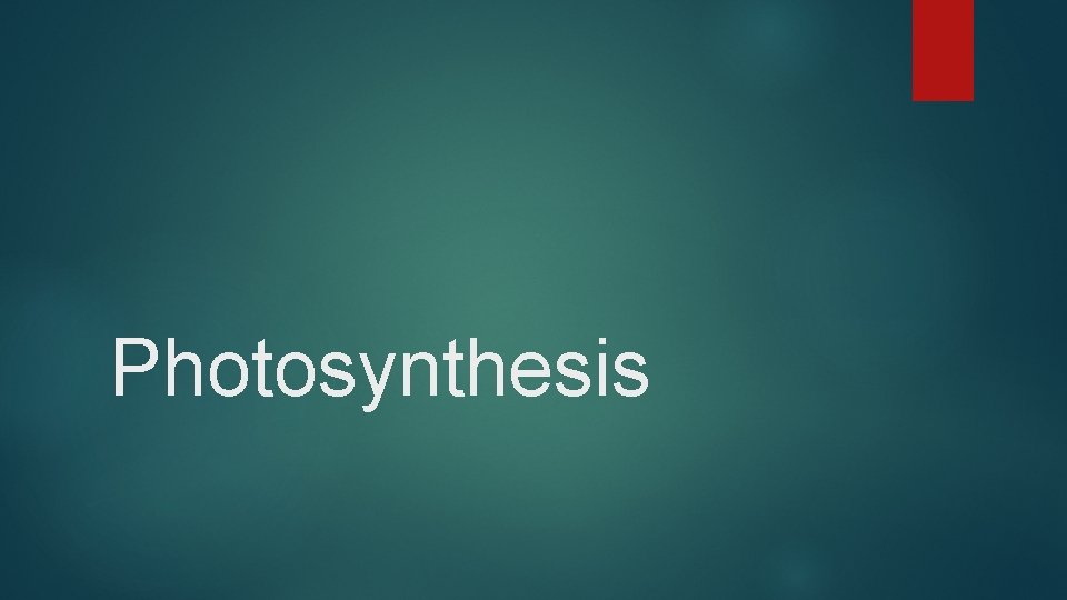 Photosynthesis Photosynthesis
