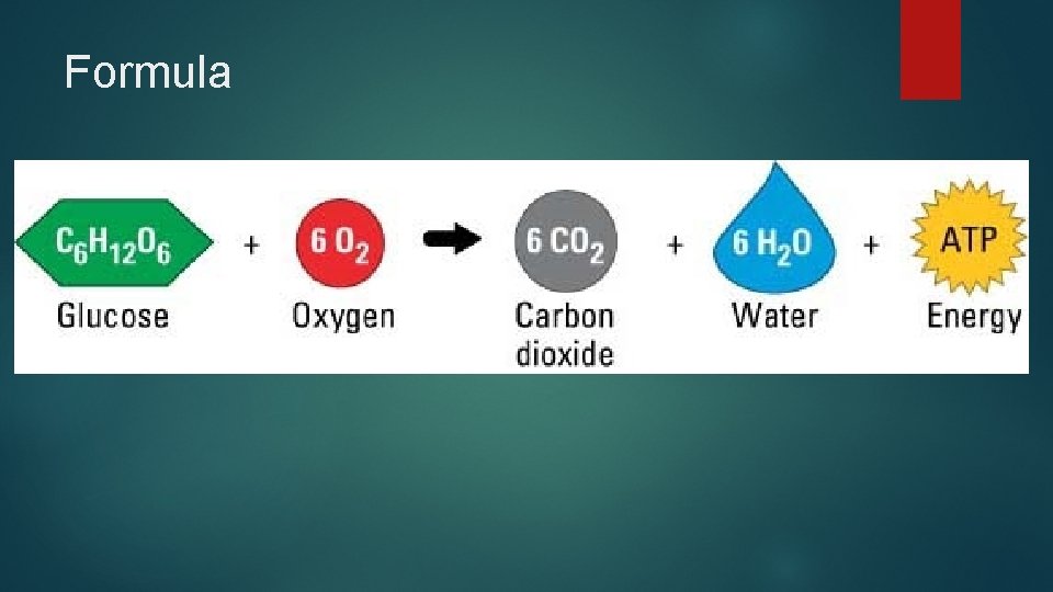 Formula Formula