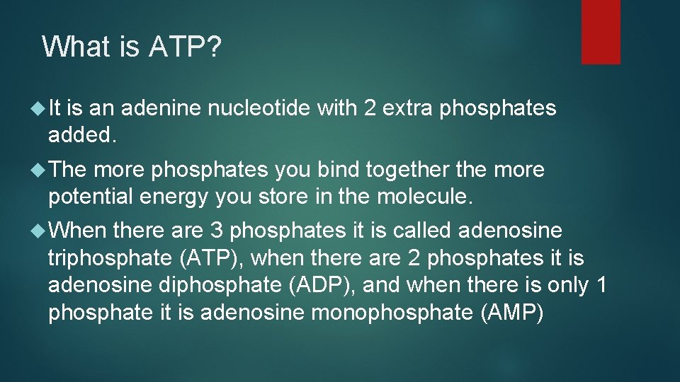 What is ATP? It is an adenine nucleotide with 2 extra phosphates added. The What is ATP? It is an adenine nucleotide with 2 extra phosphates added. The