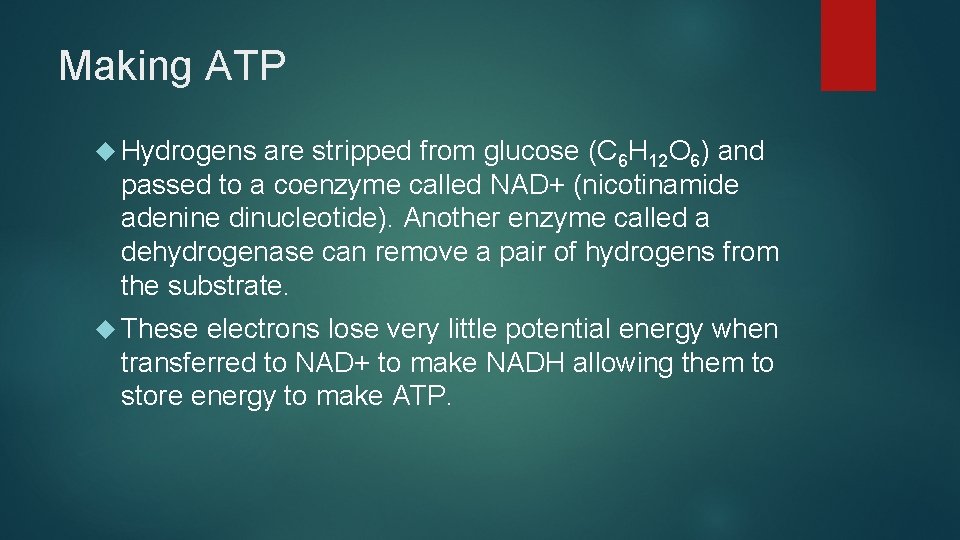 Making ATP Hydrogens are stripped from glucose (C 6 H 12 O 6) and Making ATP Hydrogens are stripped from glucose (C 6 H 12 O 6) and