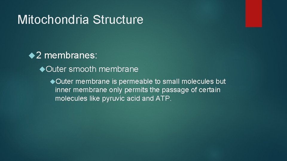 Mitochondria Structure 2 membranes: Outer smooth membrane Outer membrane is permeable to small molecules Mitochondria Structure 2 membranes: Outer smooth membrane Outer membrane is permeable to small molecules