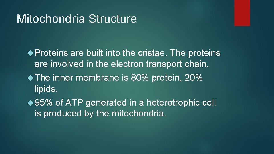 Mitochondria Structure Proteins are built into the cristae. The proteins are involved in the Mitochondria Structure Proteins are built into the cristae. The proteins are involved in the