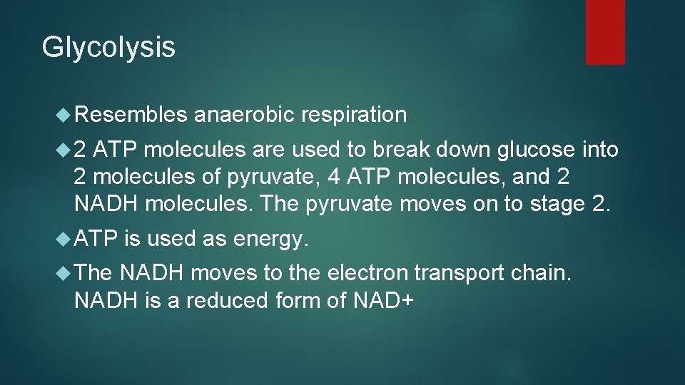 Glycolysis Resembles anaerobic respiration 2 ATP molecules are used to break down glucose into Glycolysis Resembles anaerobic respiration 2 ATP molecules are used to break down glucose into