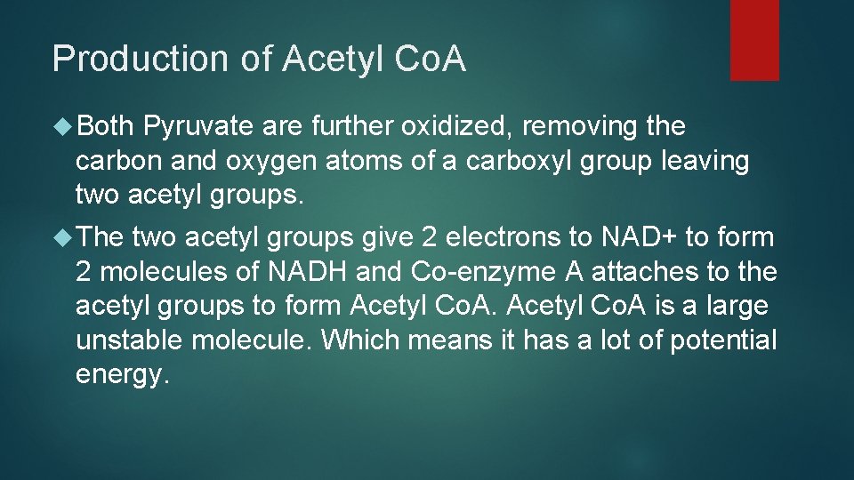 Production of Acetyl Co. A Both Pyruvate are further oxidized, removing the carbon and Production of Acetyl Co. A Both Pyruvate are further oxidized, removing the carbon and