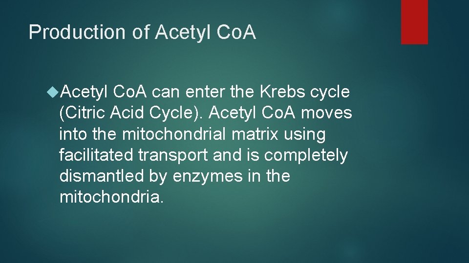 Production of Acetyl Co. A can enter the Krebs cycle (Citric Acid Cycle). Acetyl Production of Acetyl Co. A can enter the Krebs cycle (Citric Acid Cycle). Acetyl