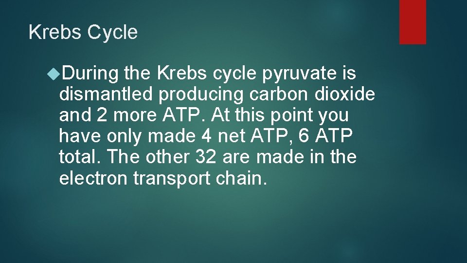 Krebs Cycle During the Krebs cycle pyruvate is dismantled producing carbon dioxide and 2 Krebs Cycle During the Krebs cycle pyruvate is dismantled producing carbon dioxide and 2