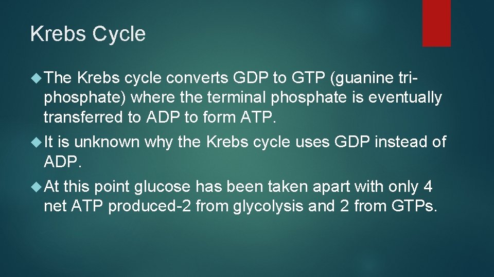 Krebs Cycle The Krebs cycle converts GDP to GTP (guanine triphosphate) where the terminal Krebs Cycle The Krebs cycle converts GDP to GTP (guanine triphosphate) where the terminal