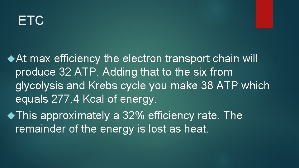 ETC At max efficiency the electron transport chain will produce 32 ATP. Adding that ETC At max efficiency the electron transport chain will produce 32 ATP. Adding that