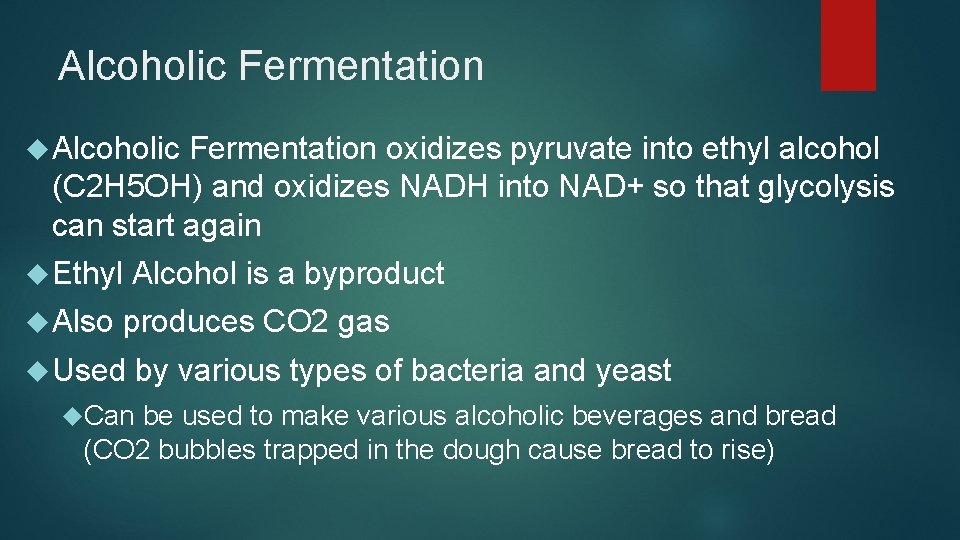 Alcoholic Fermentation oxidizes pyruvate into ethyl alcohol (C 2 H 5 OH) and oxidizes Alcoholic Fermentation oxidizes pyruvate into ethyl alcohol (C 2 H 5 OH) and oxidizes