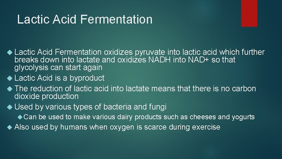 Lactic Acid Fermentation oxidizes pyruvate into lactic acid which further breaks down into lactate Lactic Acid Fermentation oxidizes pyruvate into lactic acid which further breaks down into lactate
