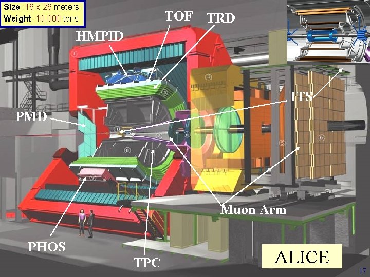 Size: 16 x 26 meters Weight: 10, 000 tons TOF TRD HMPID ITS PMD