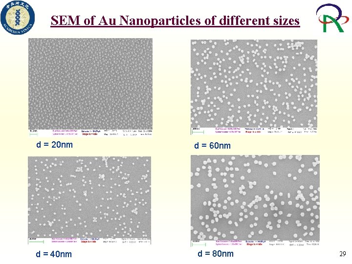SEM of Au Nanoparticles of different sizes d = 20 nm d = 40