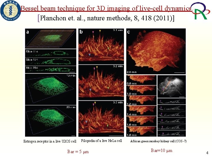 Bessel beam technique for 3 D imaging of live-cell dynamics [Planchon et. al. ,