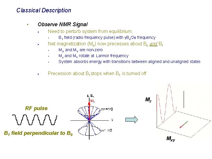Classical Description • Observe NMR Signal Ø Need to perturb system from equilibrium. §