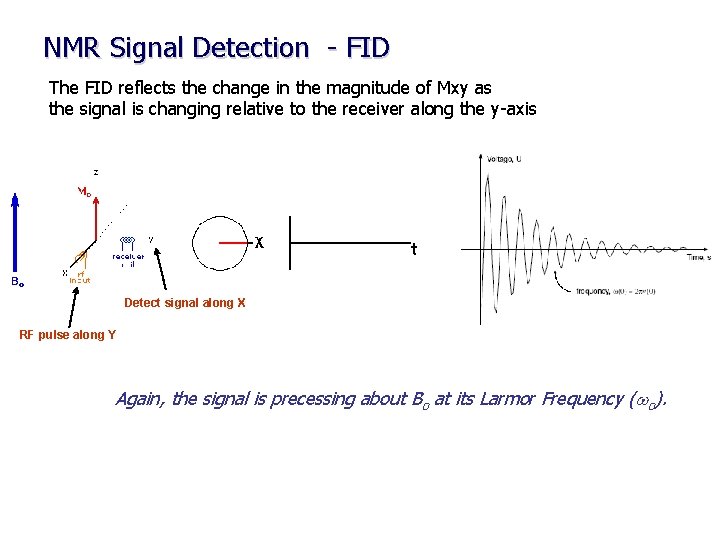 NMR Signal Detection - FID The FID reflects the change in the magnitude of