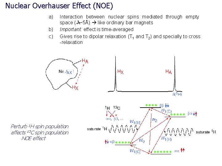 Nuclear Overhauser Effect (NOE) a) b) c) Interaction between nuclear spins mediated through empty