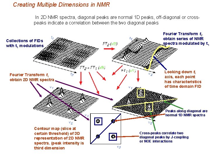 Creating Multiple Dimensions in NMR In 2 D NMR spectra, diagonal peaks are normal