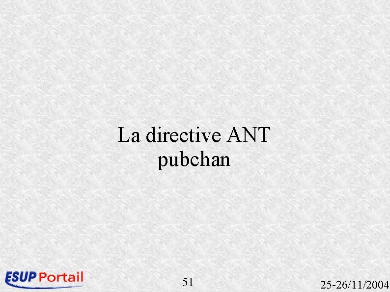 La directive ANT pubchan 51 25 -26/11/2004 