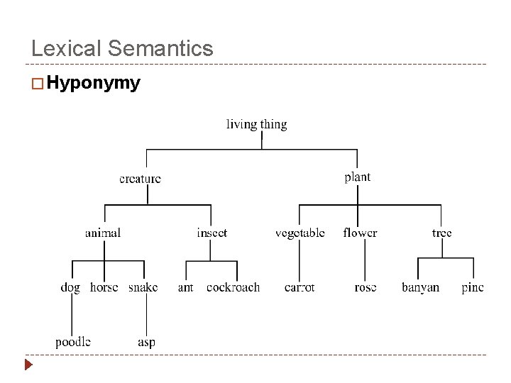 Lexical Semantics � Hyponymy 