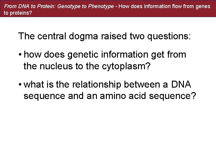 From DNA to Protein: Genotype to Phenotype - How does information flow from genes