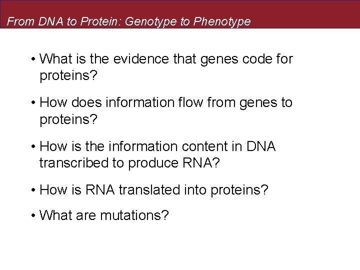 From DNA to Protein: Genotype to Phenotype • What is the evidence that genes