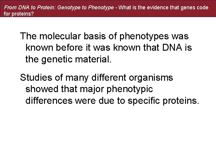 From DNA to Protein: Genotype to Phenotype - What is the evidence that genes