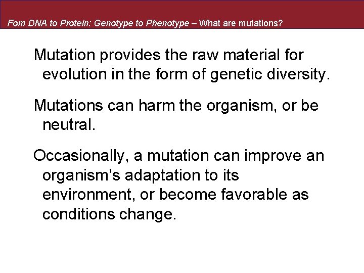 Fom DNA to Protein: Genotype to Phenotype – What are mutations? Mutation provides the