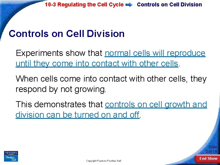 10 -3 Regulating the Cell Cycle Controls on Cell Division Experiments show that normal