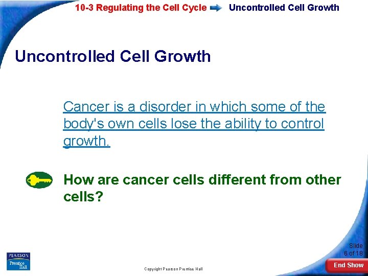 10 -3 Regulating the Cell Cycle Uncontrolled Cell Growth Cancer is a disorder in