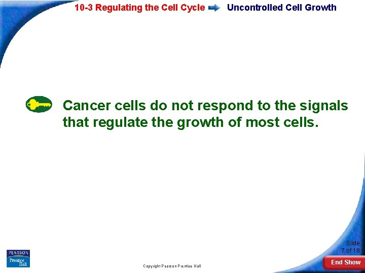 10 -3 Regulating the Cell Cycle Uncontrolled Cell Growth Cancer cells do not respond