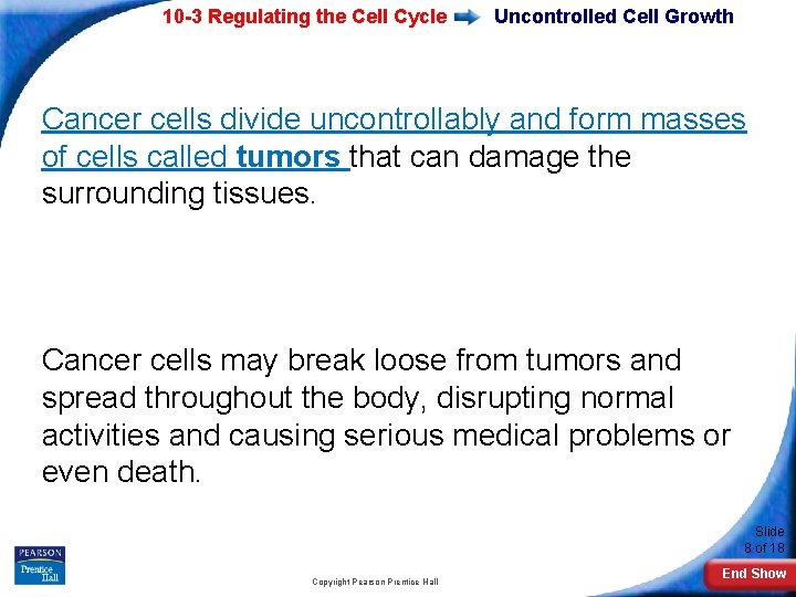 10 -3 Regulating the Cell Cycle Uncontrolled Cell Growth Cancer cells divide uncontrollably and
