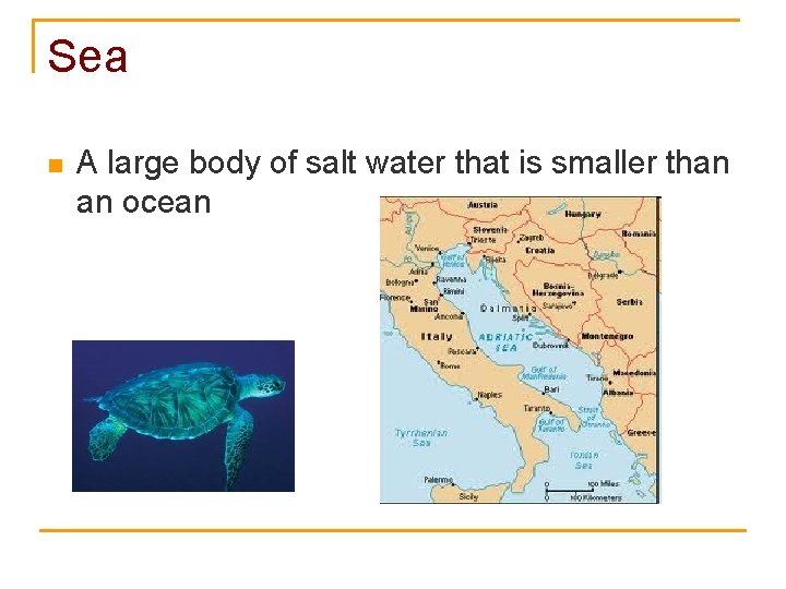 Sea n A large body of salt water that is smaller than an ocean
