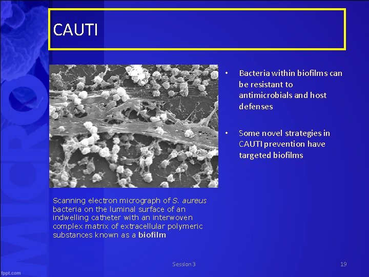 CAUTI • Bacteria within biofilms can be resistant to antimicrobials and host defenses •