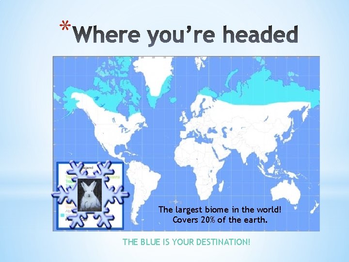 * The largest biome in the world! Covers 20% of the earth. THE BLUE