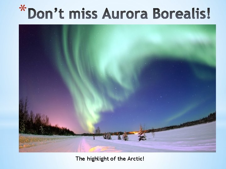* The highlight of the Arctic! 