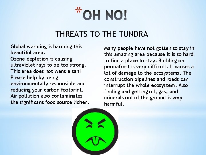 * THREATS TO THE TUNDRA Global warming is harming this beautiful area. Ozone depletion