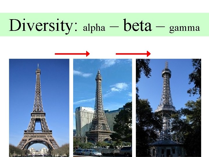 Diversity: alpha – beta – gamma 