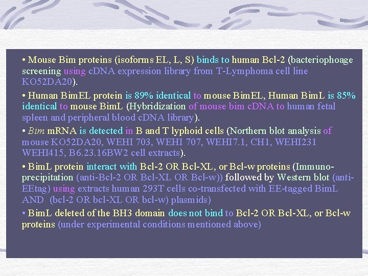 : • Mouse Bim proteins (isoforms EL, L, S) binds to human Bcl-2 (bacteriophoage