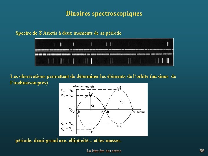 Binaires spectroscopiques Spectre de 6 Arietis à deux moments de sa période Les observations