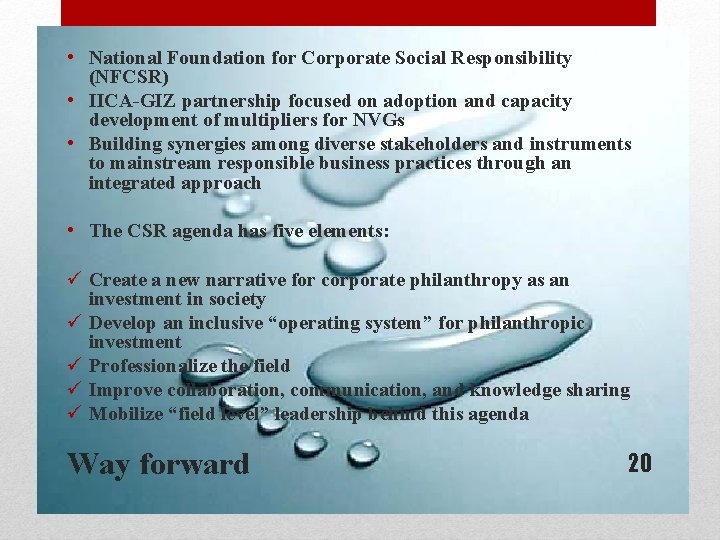 • National Foundation for Corporate Social Responsibility (NFCSR) • IICA-GIZ partnership focused on • National Foundation for Corporate Social Responsibility (NFCSR) • IICA-GIZ partnership focused on