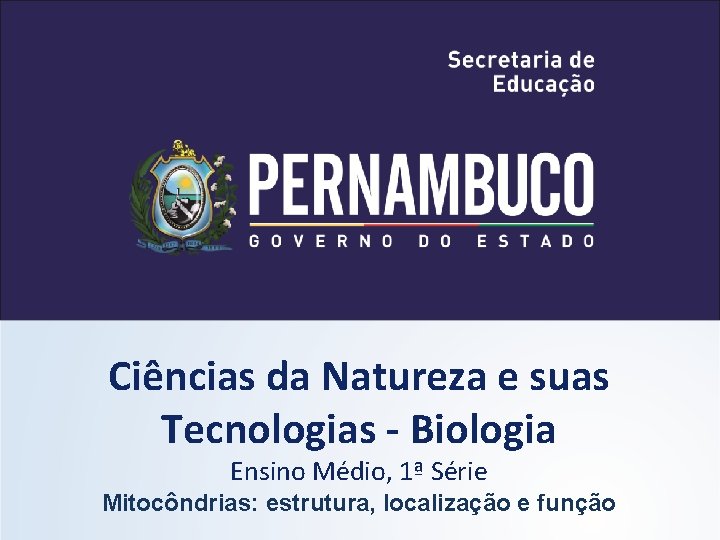 Ciências da Natureza e suas Tecnologias - Biologia Ensino Médio, 1ª Série Mitocôndrias: estrutura,